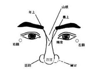 鼻準|鼻準的解釋